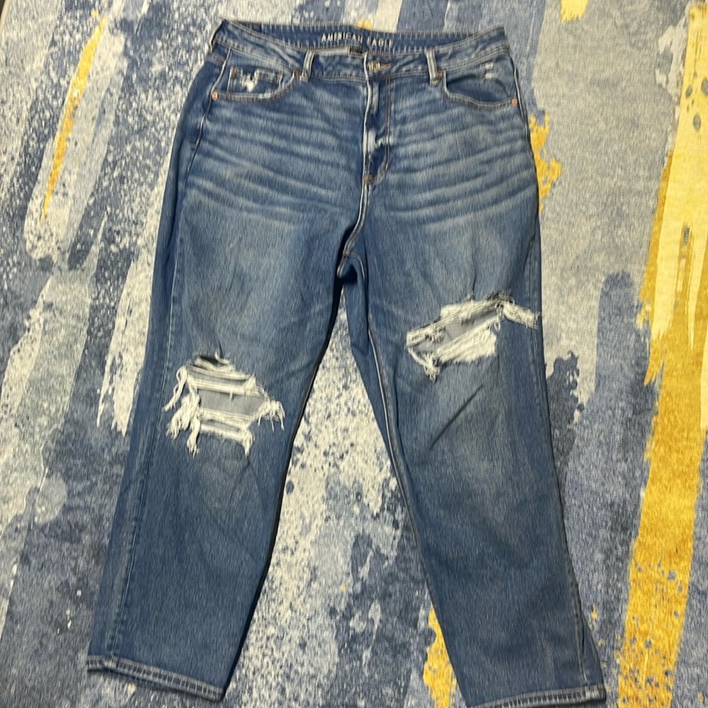 AE 18 Regular Mom Jean